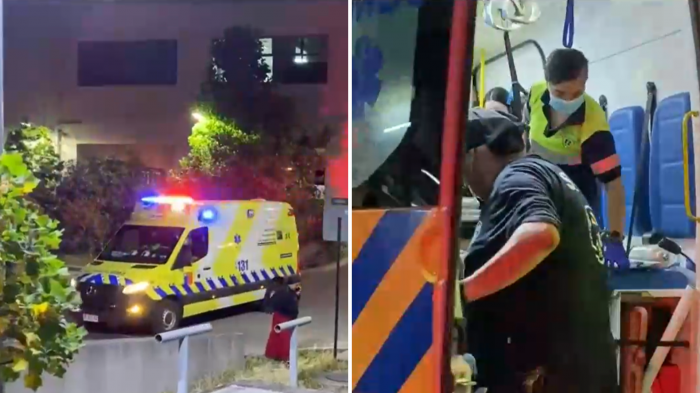 Brigadista de Conaf resultó gravemente herido tras combatir incendio forestal en Los Alamos