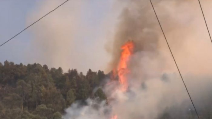 30 focos de incendios forestales: Colombia pide ayuda a la ONU y activó protocolo de desastre natural