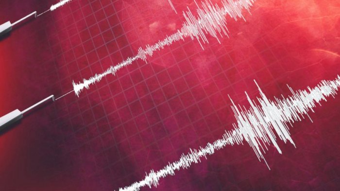 Fuerte sismo desveló a la zona central: ¿Dónde fue el epicentro y cuál fue su magnitud?