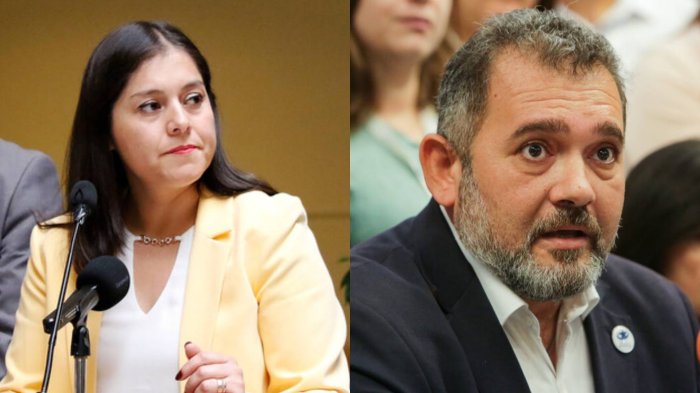Crisis en el PDG: Diputada se querellará contra el presidente del partido por fraude al fisco