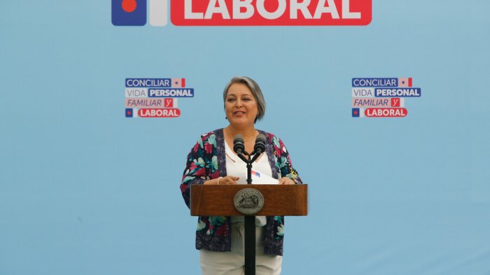 Ley de Conciliación: En qué consiste y cómo acceder al teletrabajo