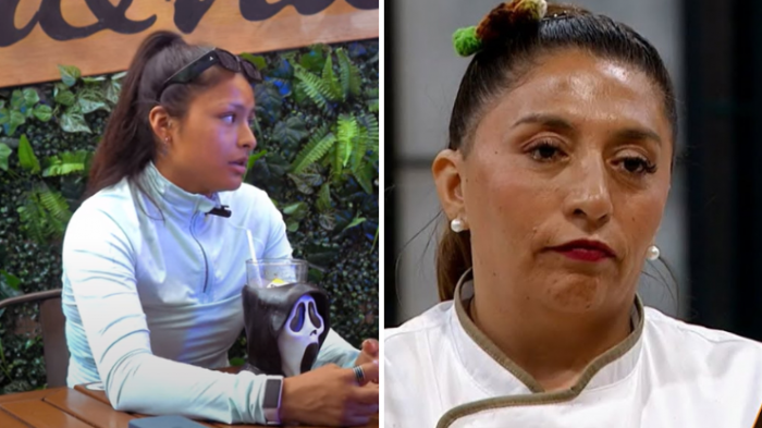 El crudo análisis de Viviana Acevedo por Pincoya: 