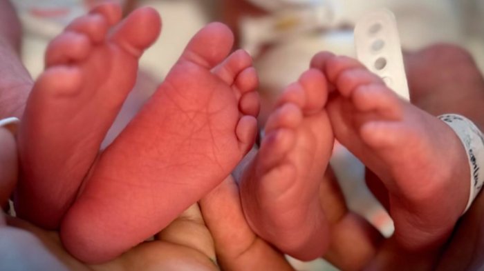 ¡La magia del encierro! Ex integrantes de Gran Hermano se convierten en padres de gemelas