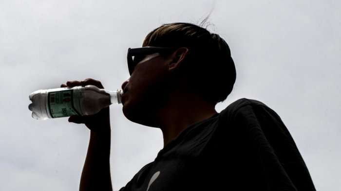 Ola de calor en Santiago: ¿Cuáles serán las máximas para esta semana?