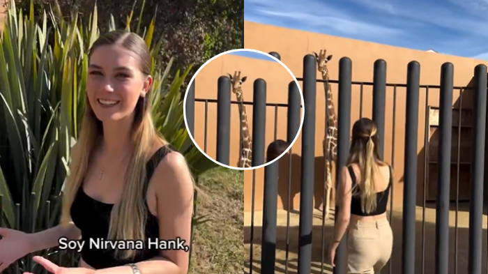 Nirvana Hank, la influencer mexicana blanco de críticas por tener una jirafa en su casa