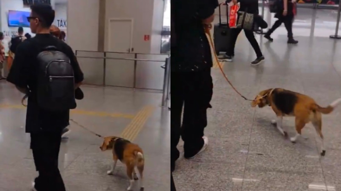 La compañera que llegó con Pablo Galdames a firmar con Vasco da Gama: 