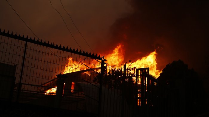 Alcaldesa de Viña del Mar hizo un llamado a ayudar 