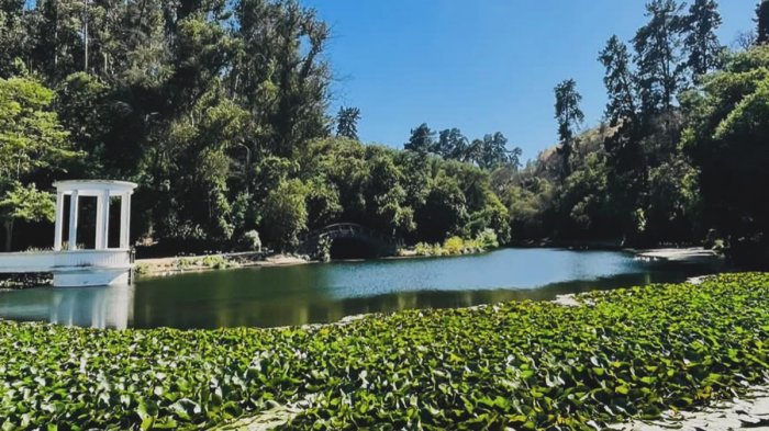 Informan que Jardín Botánico de Viña del Mar se consumió casi en su totalidad tras incendios forestales