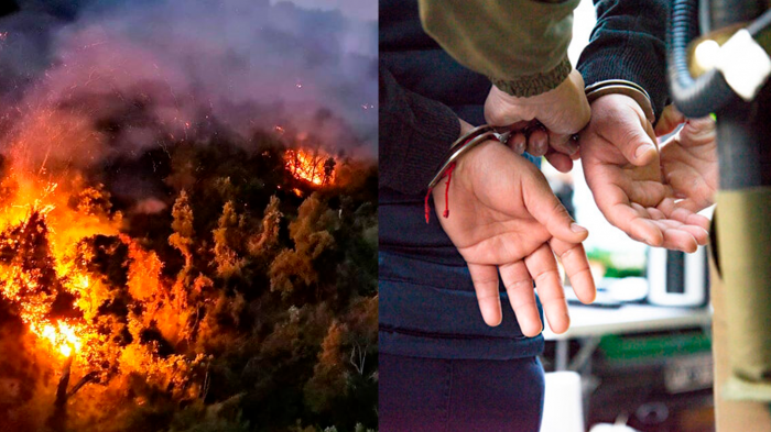 Hombre es detenido por ser presunto autor de incendios forestales en el Maule