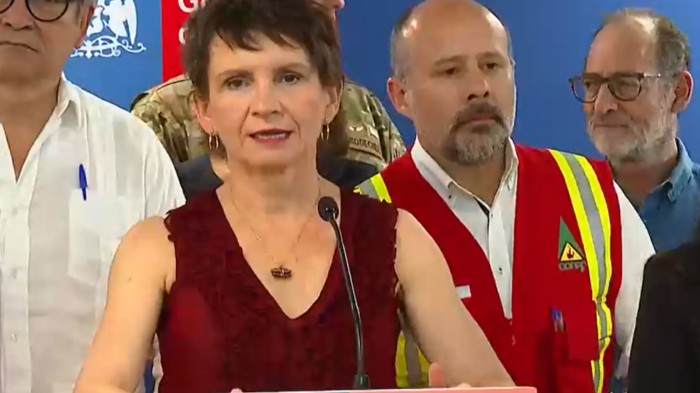 Tohá por incendios forestales: Se mantiene toque de queda y hay más de mil soldados desplegados