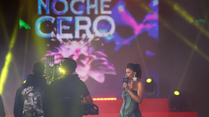 Organización del Festival de Viña anuncia cancelación de Gala por incendios forestales en V Región