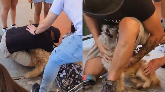 ¡Hasta las lágrimas! Vecino de Villa Independencia tuvo emotivo reencuentro con su perrito tras incendios forestales