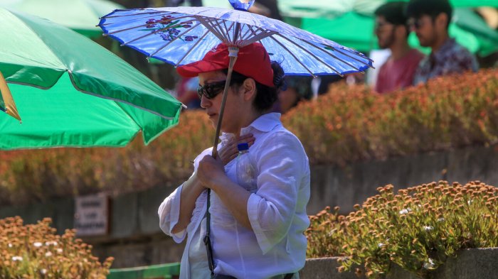 Nueva ola de calor en Santiago: ¿Cuáles serán las máximas y hasta cuándo va a durar?