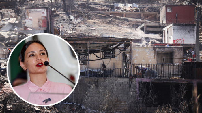 Lo que se sabe del evento solidario televisado por damnificados de incendios: Sería este sábado