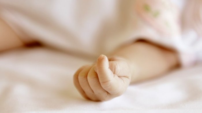 Falleció Raymond Zamir, la guagua más grande de la historia de Chile