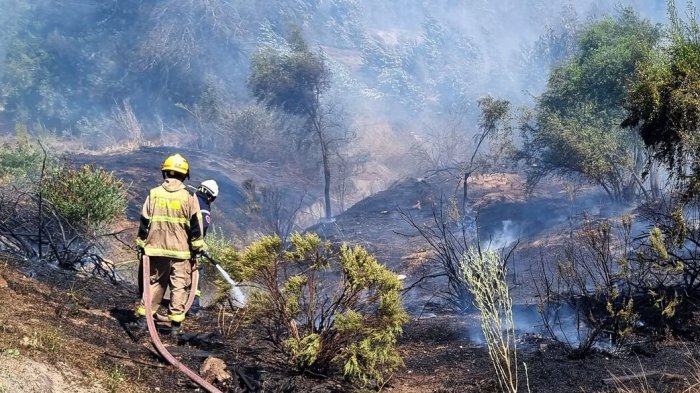Detienen a hombre intentando prender fuego en cerro Culitrín de Paine