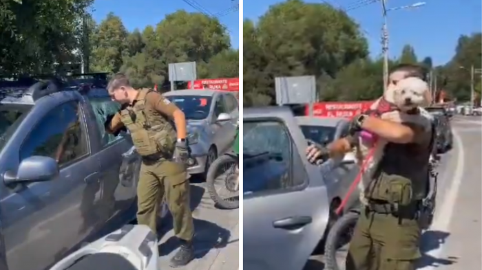 ¡A pleno sol! Carabinero rescató a perrito encerrado en auto y detuvo a su dueño