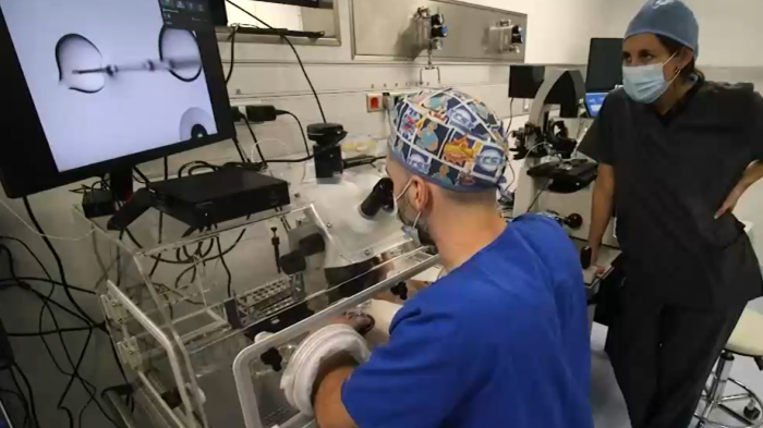 Fertilidad asistida: Mujeres acusan falta de apoyo del Estado en tratamientos