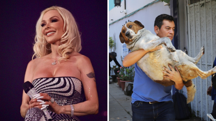 Marisela donó 8 toneladas de comida para mascotas afectadas por incendios: 