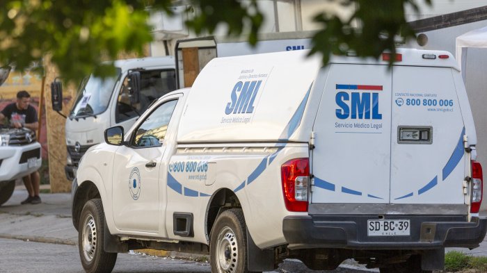 Servicio Médico Legal aumentó a 133 los fallecidos por incendios forestales