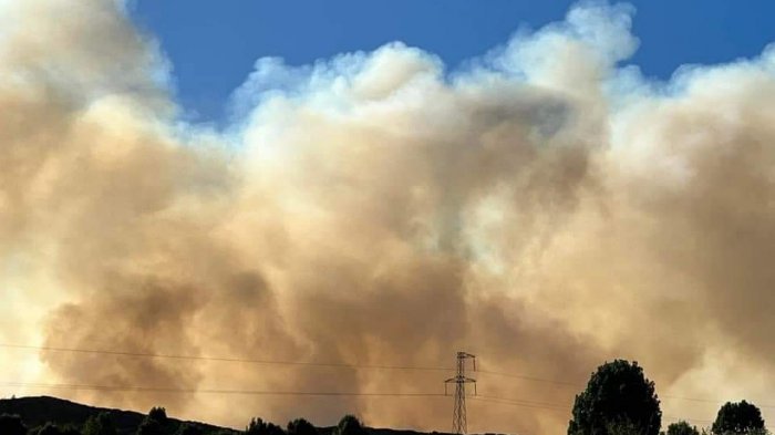 Alerta Roja en Purén y Victoria por incendios forestales en región de La Araucanía