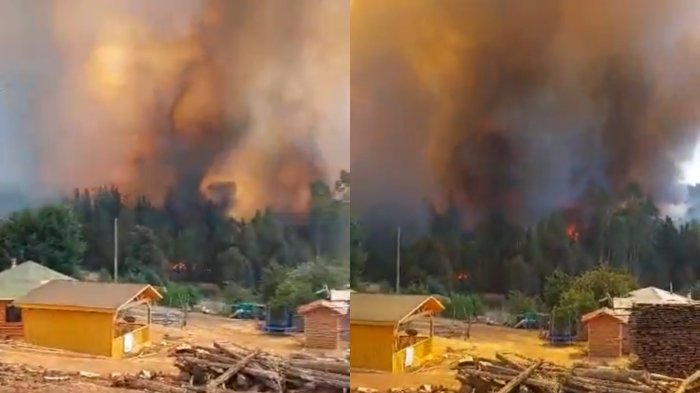 Incendio forestal: Senapred solicitó evacuar zonas de Purén en La Araucanía