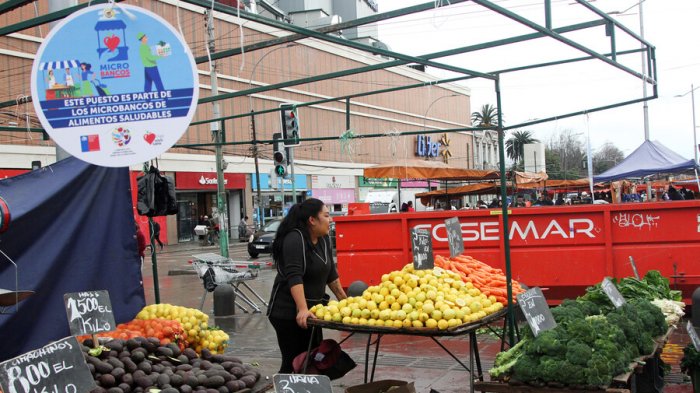 Hasta $30 millones en subsidios de Sercotec: Revisa acá quienes pueden acceder a los beneficios