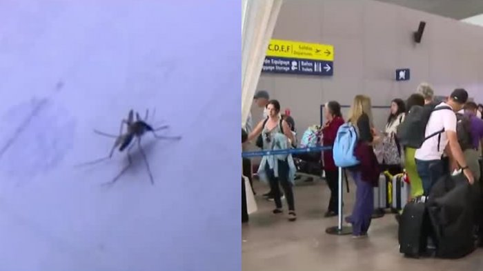 Chile registró primer caso de dengue importado por viajero proveniente de Brasil