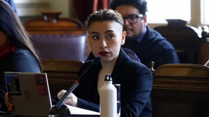 Concejala de Santiago vendía entradas de cortesía a Fantasilandia: La denunció su propio partido