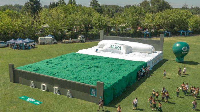 Chillán superó récord Guinness con la cama más grande del mundo: Mide lo mismo que cancha de baby fútbol