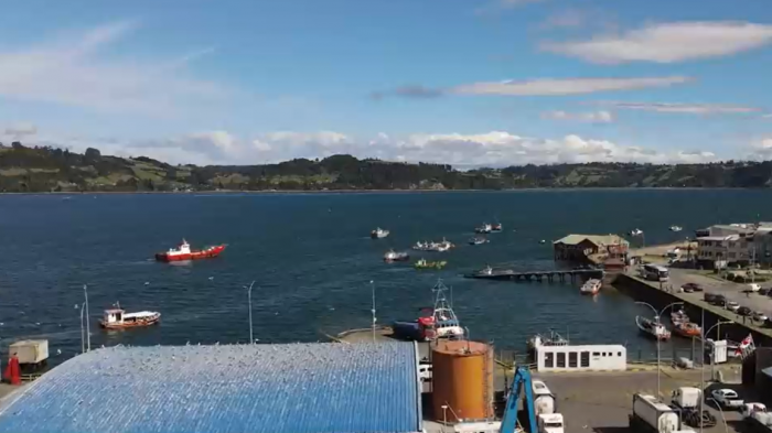 Asaltan camiones y centros de cultivo: Millonario robo de salmones amenaza la salud de consumidores