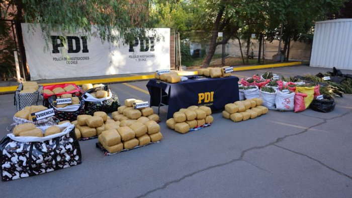 PDI incautó más de $1.000 millones en drogas en la Región Metropolitana