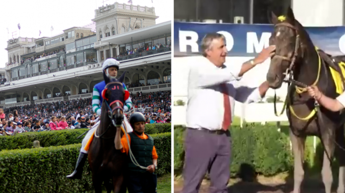 Investigan suplantación de yegua de Kike Morandé en Club Hípico de Santiago: Intervino ministro de Hacienda