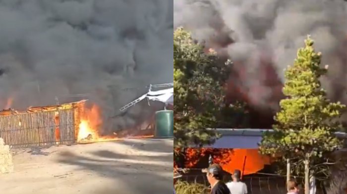 Reportan incendio en Fiesta de la Vendimia en Marchigüe