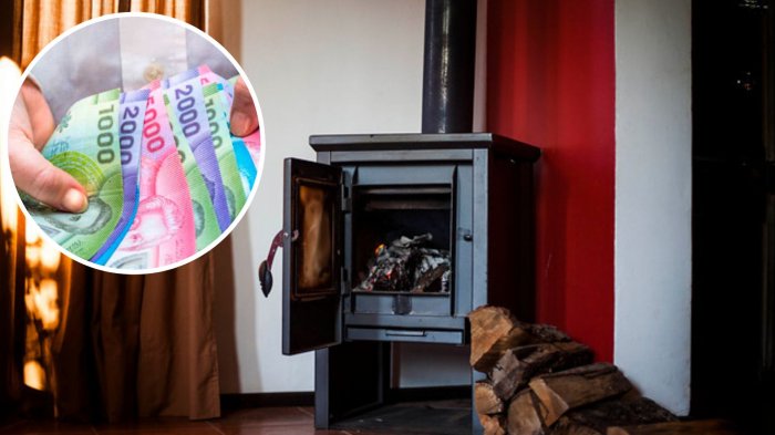 Bono Invierno 2024: Revisa cuándo se paga y los requisitos para recibir los $77 mil