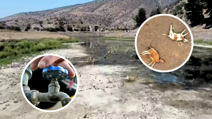 Fenómeno de La Niña regresaría este año y con importante sequía hasta mayo