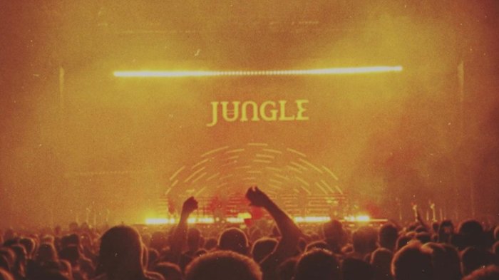 Jungle: Este es el potencial setlist de la banda norteamericana en el Lollapalooza Chile 2024