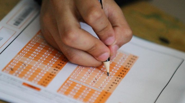 Anuncian cuándo publicarán la base de datos Simce: Estará abierta al público general