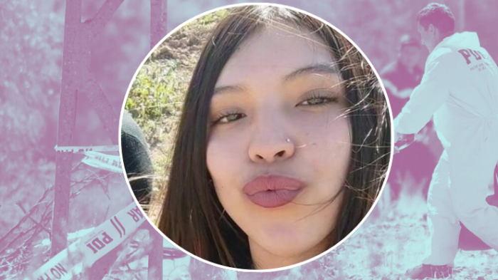 Caso Michelle Silva: Familia reveló crucial hallazgo en Río Aconcagua que ayudaría a comprobar teoría