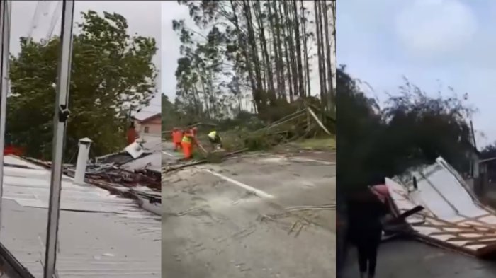 Fuerte temporal azotó a la región de Los Lagos: Cortes en rutas y suspensión de servicio eléctrico
