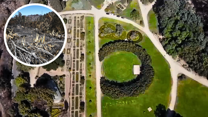 Jardín Botánico reabre parcialmente tras megaincendio: Tendrá actividades para impulsar recuperación