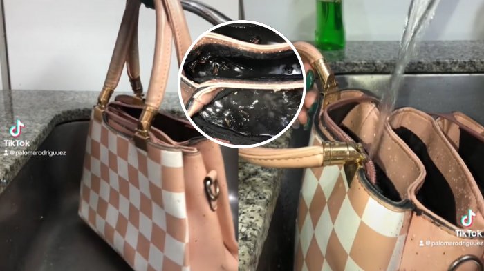 Joven compró cartera usada y se llevó una sorpresa cuando la lavó: 