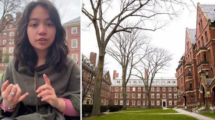 Chilena en Harvard desmintió a tiktoker y confirmó su exigencia: 