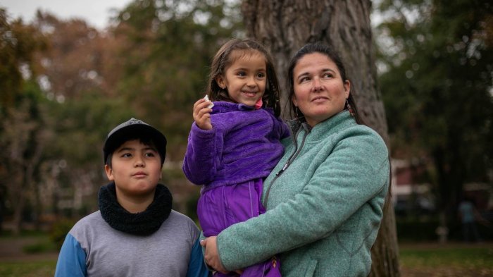 Aprueban la Ley de Estabilización de Tarifas Eléctricas: Revisa en qué consiste
