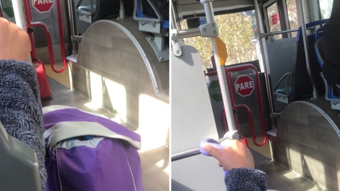Chofer de RED se enfrascó en explícita discusión con pasajera: 