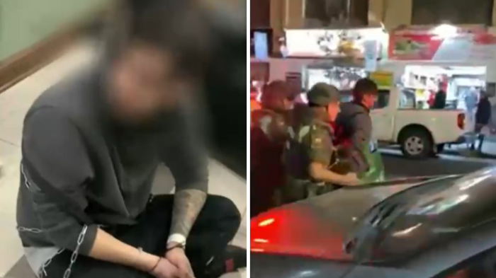 Cobarde ataque: Hombre lanzó a perro desde piso 12 de un edificio en Santiago Centro