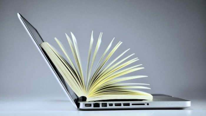 Día del Libro 2024: ¿Dónde descargar libros gratis en Chile?