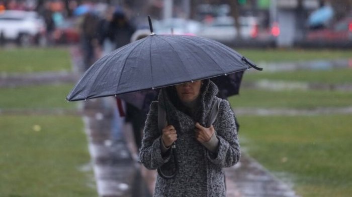 Bono Invierno: Consulta con tu RUT la fecha de pago y si eres beneficiario