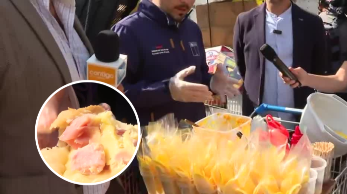 Fiscalización a carritos reveló comida en descomposición en Recoleta