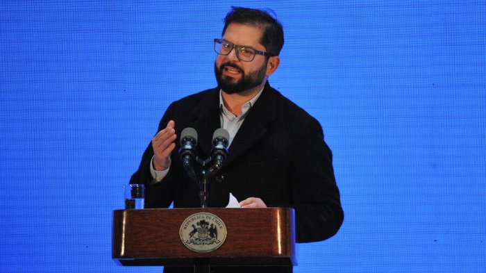 Pdte. Boric calificó como “ofensiva y denigrante” la “imagen burda del perro matapacos”